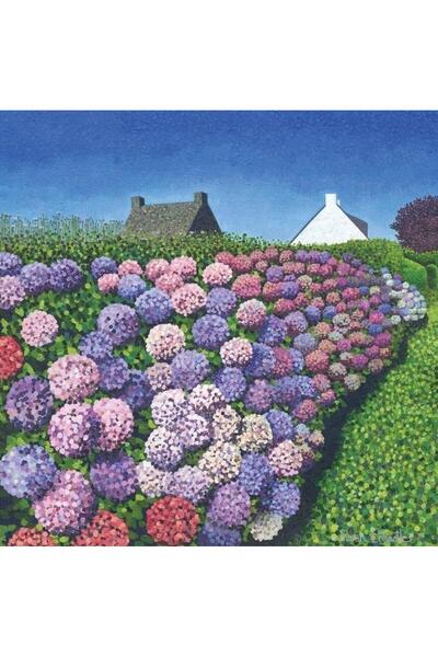 OEM Felicitare/card Susan Entwistle Hortensje w Vannes, cu plic inclus, 153x1...