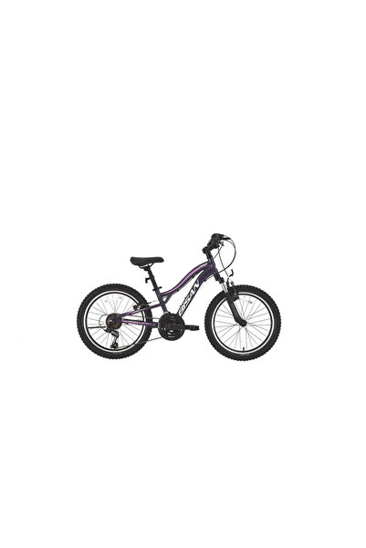 Bisan Gazelle 20 Jant 18 Vites V Metalik Mor Açık Pembe Çocuk Bisikleti 28 Kadro