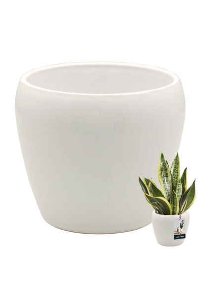 KOTARBAU Ghiveci de flori 13,5 cm, ceramic alb glazurat, pentru flori și ierb...