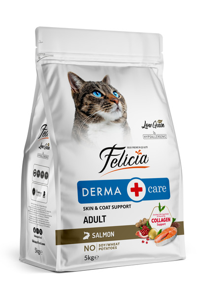 Felicia Derma Care Hrană Uscată Hipoalergenică pentru Pisici Adulte cu Somon,...