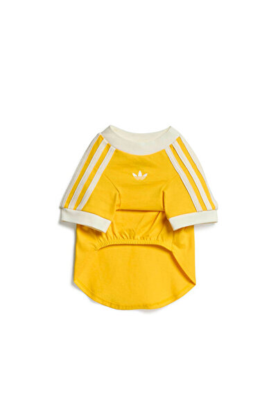 adidas PET CALI TEE Kedi-Köpek Tişörtü KY8731 Sarı
