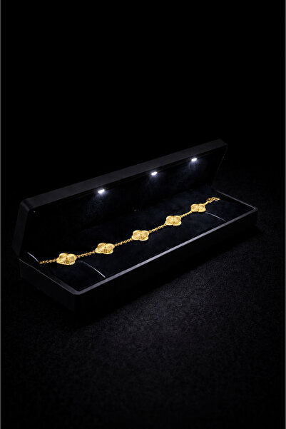 Nutly Accessories Işıklı Kutuda Çelik Yonca Model Bileklik Paslanmaz Çelik Za...
