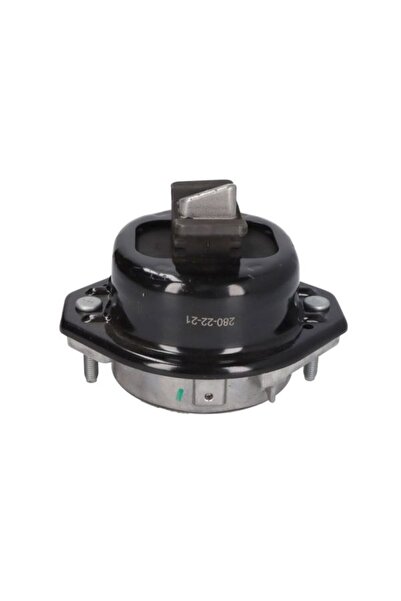 REINHOCH Suport motor RH11-3107