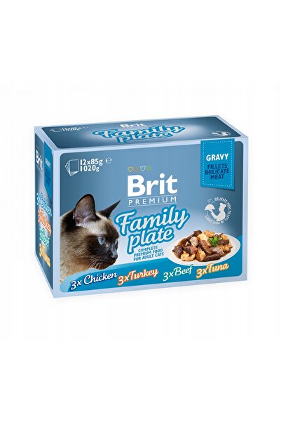 NO BRAND Hrană umedă pentru pisici BRIT Cat Gravy Fillet Family Plate