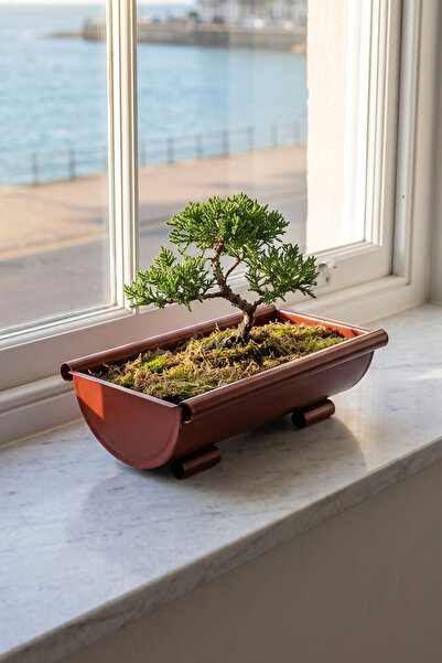 Desen Dekorasyon Metal Dikdörtgen Bonsai ve Sukulent Saksısı 31 cm Kiremit - ...