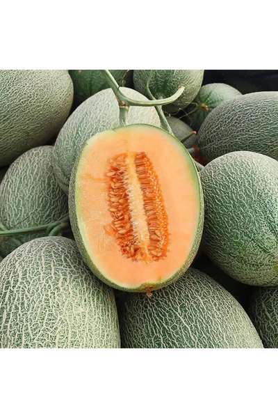 123 Non-Gmo Cantaloupe Seeds, Melon Seeds - Delicious and Sweet Fruit Seeds f...