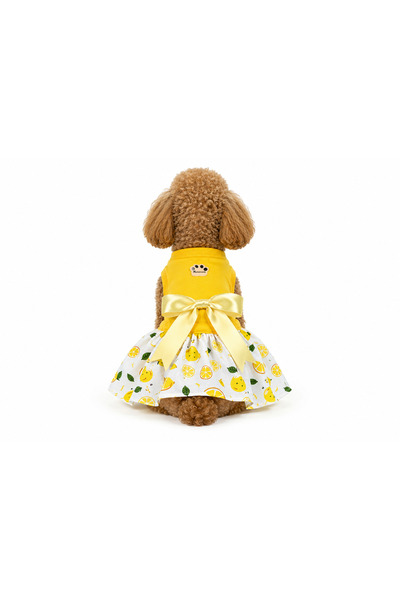 SARI PENYELİ LİMONLU KEDİ KÖPEK ELBİSESİ