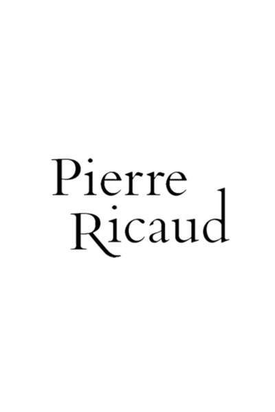 NO BRAND Ceas de damă Pierre Ricaud P22086.5113Q Argintiu