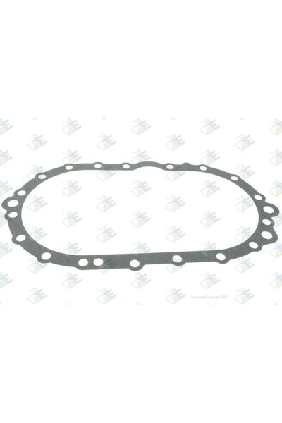 euroricambi Differential Seal/Gasket Scania 74171694