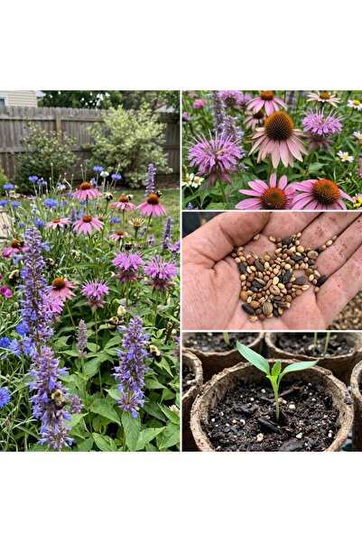 Bloom & Sow Seed 100 بذرة من مزيج الزهور البرية للحدائق - نباتات متعددة السنو...