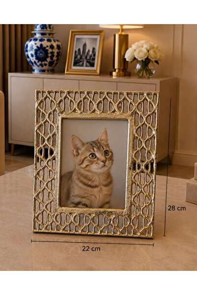 Hinora Brass Model Gold Color Patterned Model Frame 22X28Cm