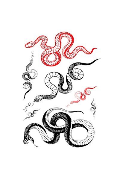 FlashTattoosRomania Tatuaj temporar, Tatuaje Flash România, Toate șarpelile, ...
