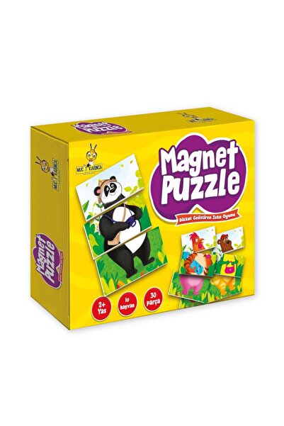 yükselen zeka Mıknatıslı Magnet Puzzle