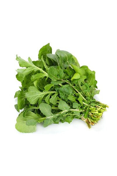 Garden Σπόρος ρούγκουλας