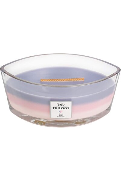 WoodWick Ellipse Scented Candle with Crackling Wick | Sun-Ripened Berries | U...
