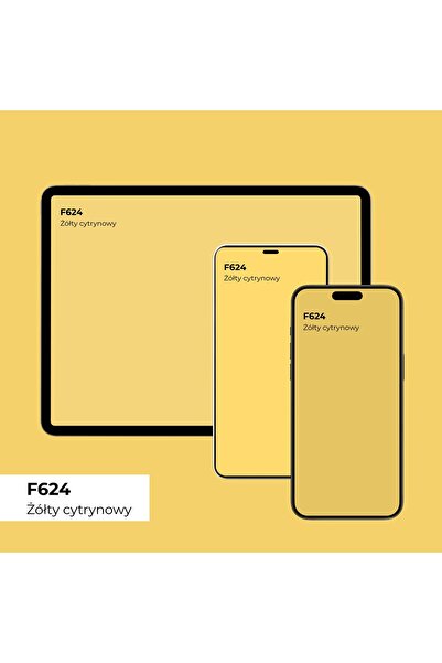 NO BRAND Vopsea siliconică pentru fațade 5L Galben Citrin F624 Fațadă