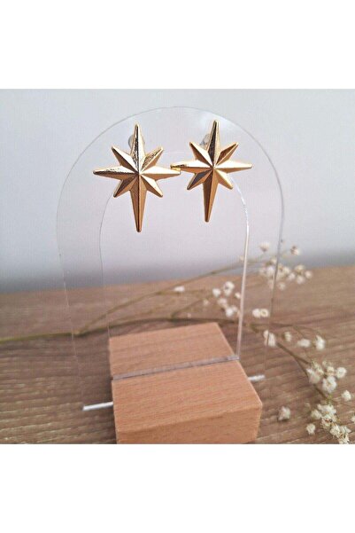 Svc Aksesuar Polar Star Earrings