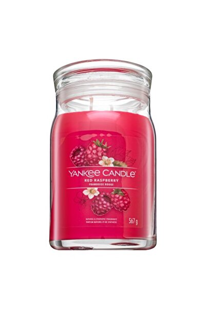 Yankee Candle Κόκκινη Σμέουρα 567 γρ.