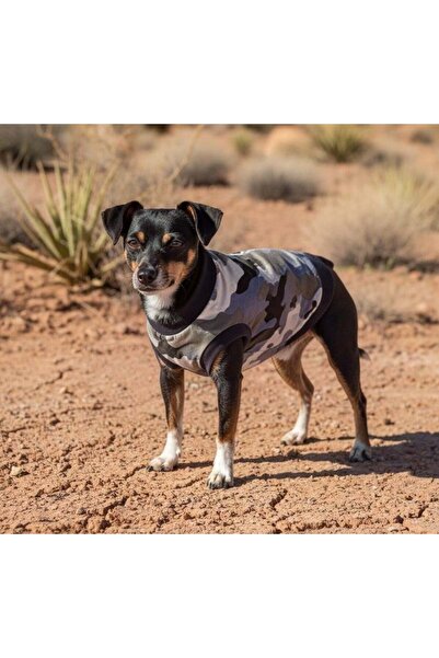 MİNİŞ PET BUTİK Miniature Camouflage Small Breed Dog Ultra Flexible Combed Co...