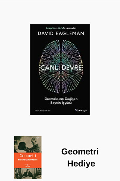 Domingo Yayınevi Canlı Devre - Durmaksızın Değişen Beynin İçyüzü + Geometri H...