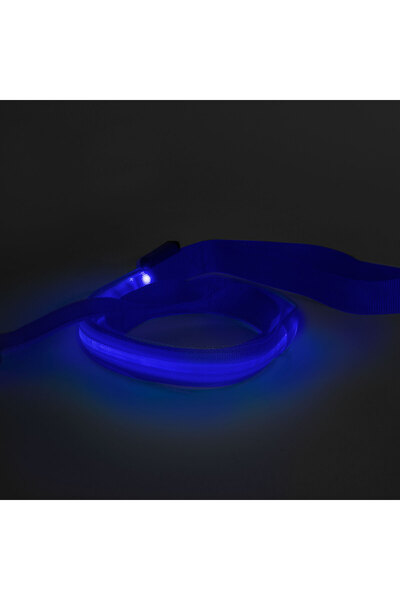 Alista Home LED leash for dogs 120 cm, illumination for night visibility, spl...
