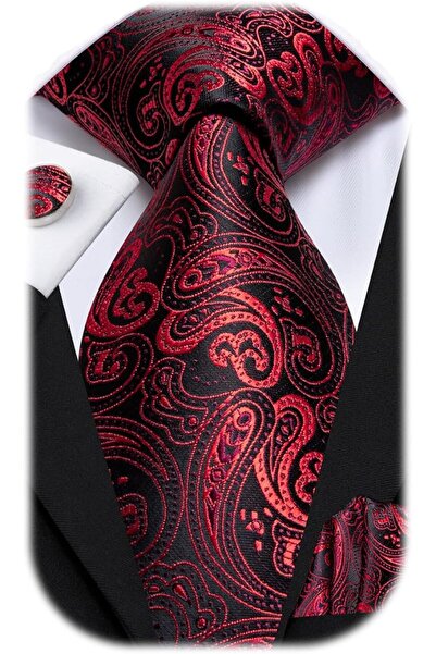 Dubulle Mens Paisely Silk Tie for Men Necktie and Pocket Square Set