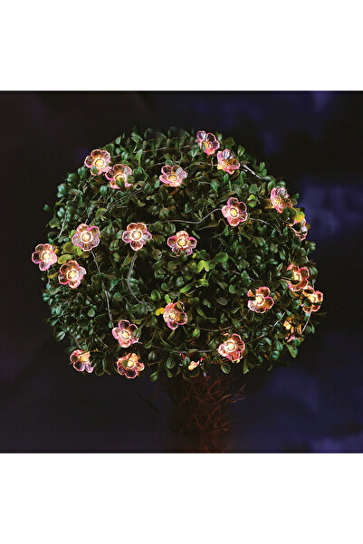 Alista Home 2.4m Solar String Lights with 25 Warm White LED Flowers, IP44 Out...