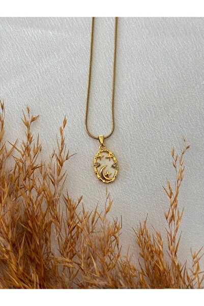 stainless steell Detailed Moon & Star Plate Steel Necklace