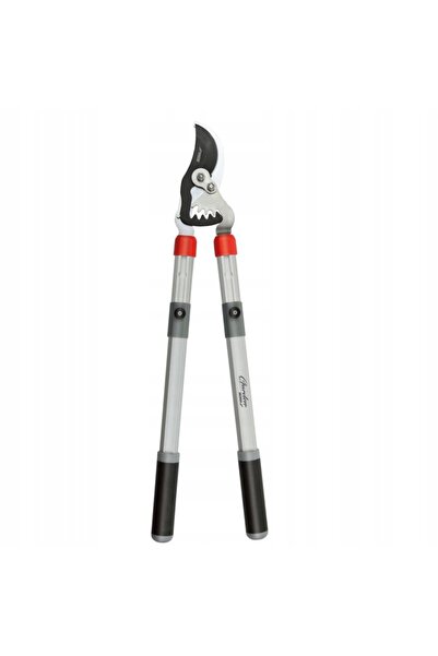 dedra Foarfecă de grădină cu angrenaj, pentru ramuri, 68-104cm