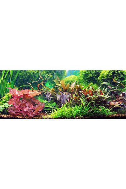 NO BRAND Iluminare LED pentru acvariu 50cm Lampă LED Zi-Noapte BELKA LED Alb