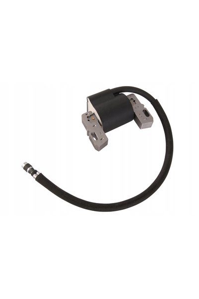 Briggs&Stratton MODUL CEWKA BRIGGS & STRATTON 492341 591459