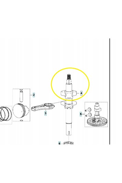 Husqvarna Arbore cotit motor HS 166A 598684538 ORIGINAL