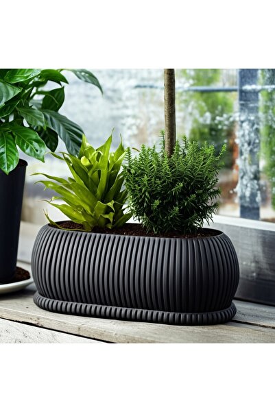 NO BRAND GHIVECI OVAL MODERN CU SUBSTIVĂ, PENTRU INTERIOR ȘI GRĂDINĂ