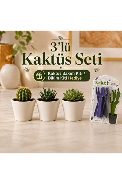 Poliwork 3'lü Mini Saksı Seti Kaktüs Saksısı Sukulent Saksısı Kaktüs Bakım Ki...