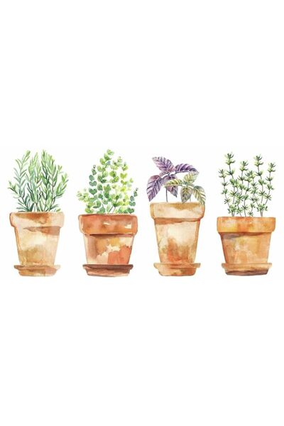 Generic RoomMates RMK3652SCS Watercolor Potted Herbs Peel and Stick Wall Deca...