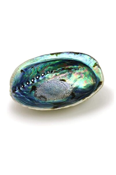 Generic Brand Natural Abalone Seashell Highly Polished, Smudging Abalone Shel...
