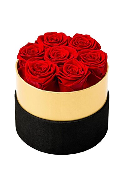 Generic Brand 7-Piece Preserved Roses in Round Box,Forever Immortal Roses (La...