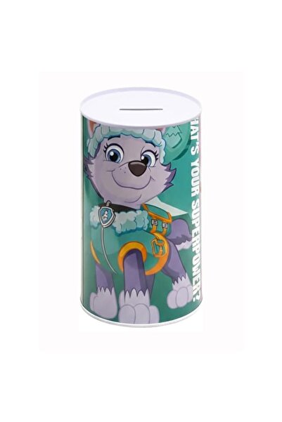 Generic Brand Paw Patrol Girls Superpowers Metallic Coin Box | Money Saving B...