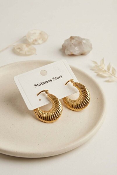 Inure Jewelry 316L Steel Gold Color Hoop Model Earrings