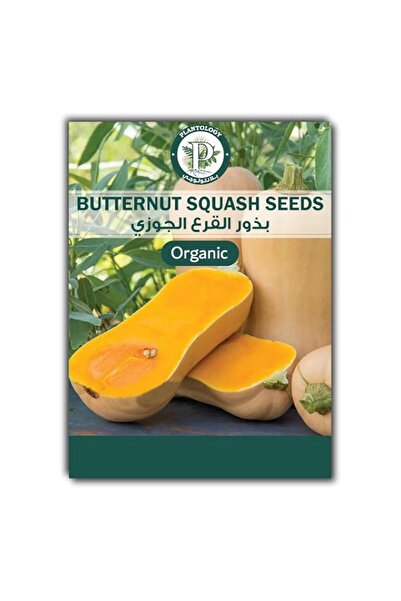 Generic Butternut Squash Seeds for Planting – Butternut Squash Seeds – Home G...