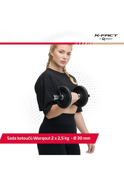 Worqout Discuri de greutate din fier de 2,5 kg x 2 buc.