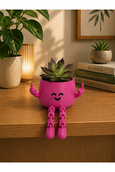 EMAS3D SEVİMLİ AYAKLI TATLI EMOJİ MİNİ SAKSI DEKORATİF (Pembe 1 Adet)