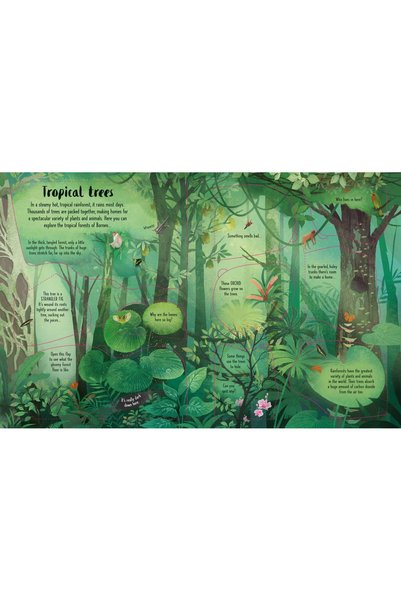 Usborne Lift The Flap Trees