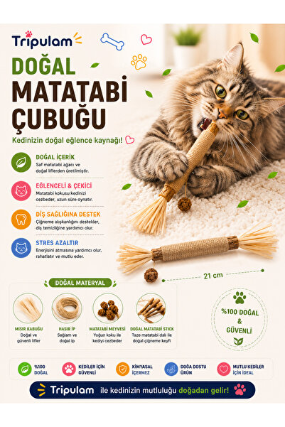 TRİPULAM Matatabi Çubuğu | Catnip Stick, Doğal Kedi Naneli Matatabi Çubuğu, H...