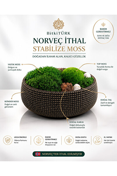 BitkiTÜRK Norveç Stabilize Yosun Teraryumu & Hasır Dokulu Beton Saksı