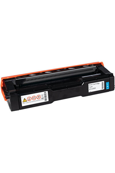 Ricoh RICTC250CH