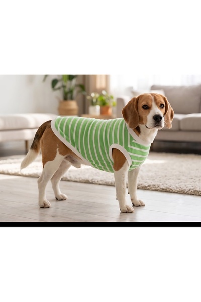 atelyu Cat Dog Outfit Green Striped Summer Tshirt