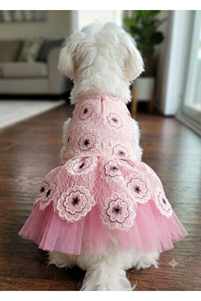 atelyu kedi köpek kıyafeti pembe çiçekli gelinlik elbise