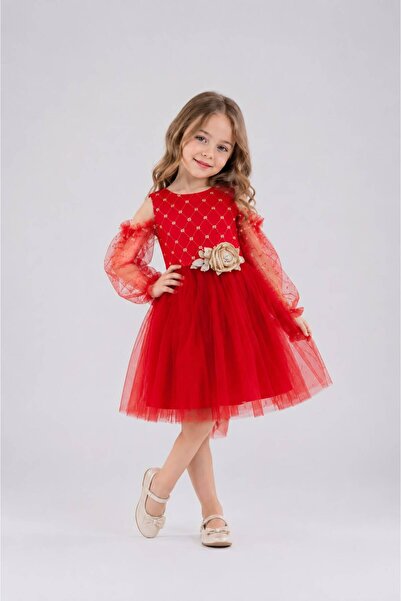 Eray Kids Kız Çocuk Abiye Elbise Simli Çiçek Detaylı Omzu Açık Tül Kollu 4-7 Yaş