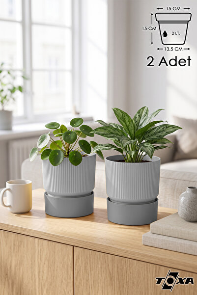 ToXA 2 Adet 2 Litre Gri Iksora Saksı Dekoratif Tabaklı Çiçek Kaktüs Saksısı M...